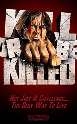 Karate Killer poster