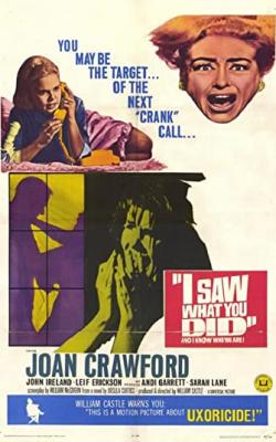 I Saw What You Did poster