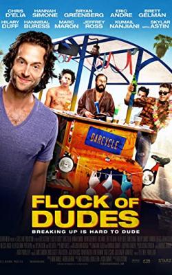 Flock of Dudes poster