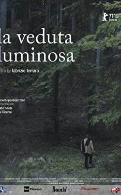 The Luminous View poster